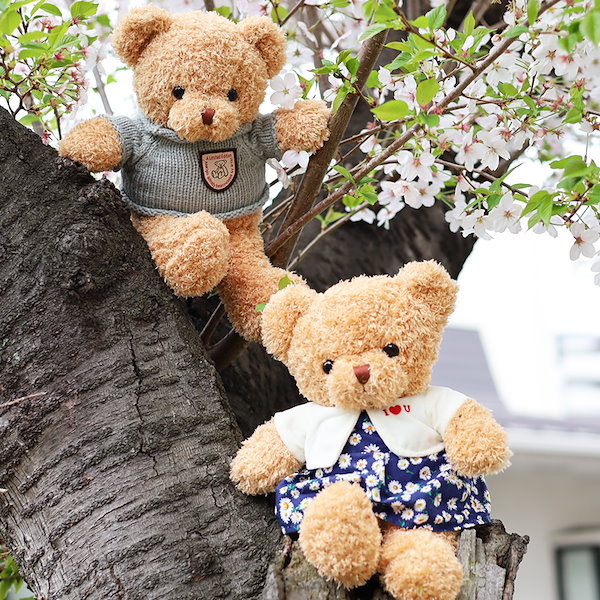 Daisy pond Motoko くま テディベア ドール　ぬいぐるみ 人形 61oCr5R01VL._UF894,1000_QL80_.jpg