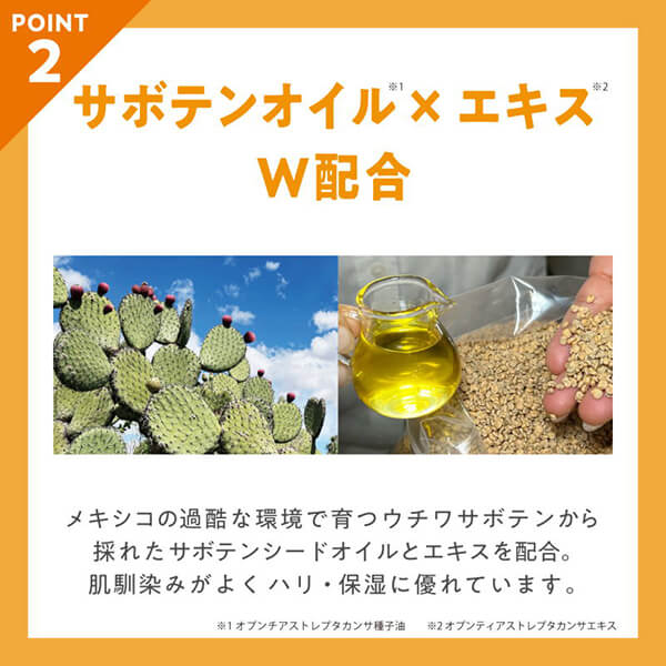 nopa プレストパウダー 12g 2個セット nopa プレストパウダー 12g 2個セット