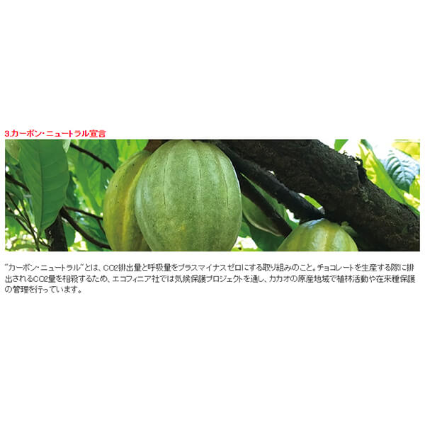 ビヨンステッド bjornsted チョコレート カプチーノ 100g 10個セット