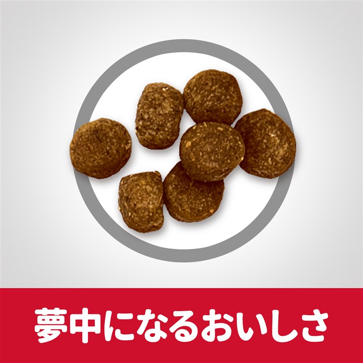 ドッグフード 犬 ヒルズ サイエンスダイエット シニアプラス 小粒 高齢犬用 6.5kg 10歳 ドライ 犬 ヒルズ シニア 小粒 サイエンスダイエット ペットフード メガ割 ドッグフード 犬 ヒルズ サイエンスダイエット シニアプラス 小粒 高齢犬用 6.5kg 10歳 ドライ 犬 ヒルズ シニア 小粒 サイエンスダイエット ペットフード メガ割