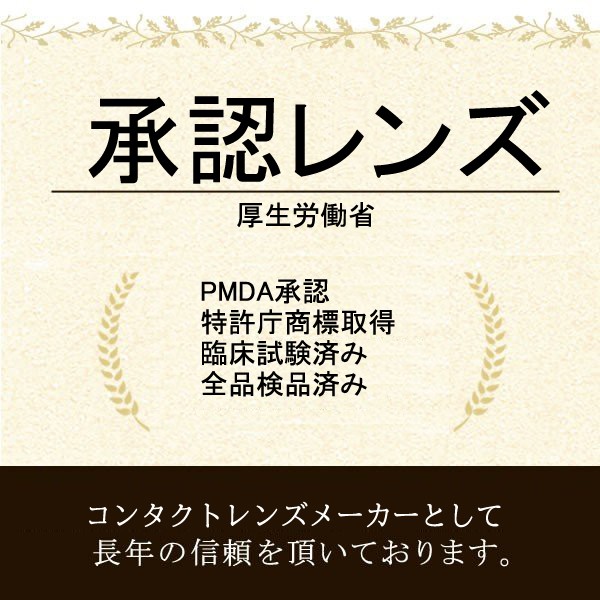 6箱セット30枚X6箱＝180枚 ワンデー コンタクト　当日発送　日本ブランド クリアレンズ