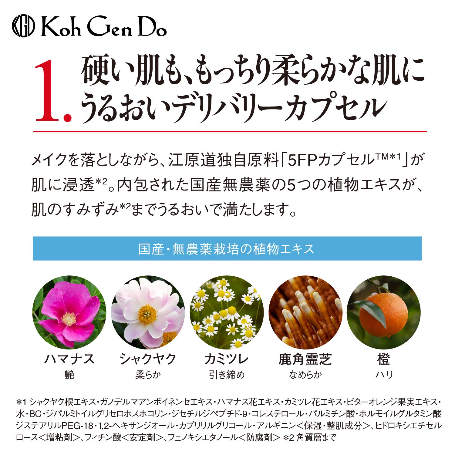 コウゲンドウ(Koh Gen Do) 江原道 オリエンタルプランツ モイストクレンジングクリーム 120グラム (x 1) コウゲンドウ(Koh Gen Do) 江原道 オリエンタルプランツ モイストクレンジングクリーム 120グラム (x 1)