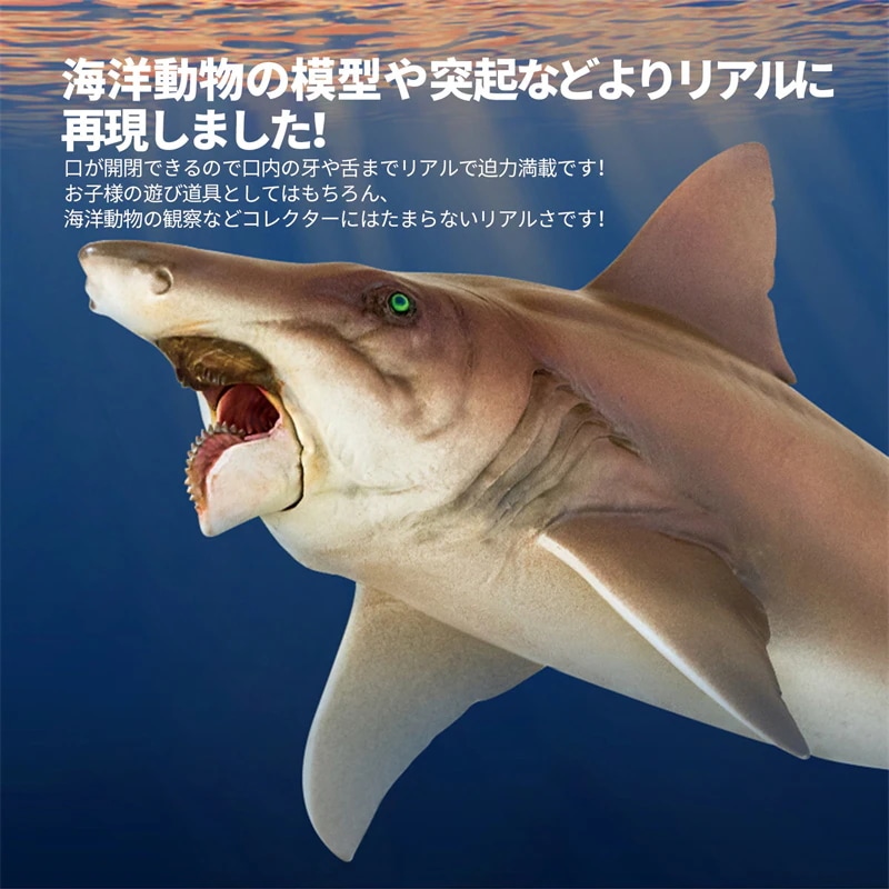 PNSO 成長シリーズ ヘリコプリオン 魚類 動物 フィギュア