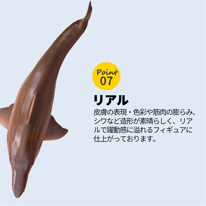 Amazon.co.jp: PNSO 成長シリーズ ヘリコプリオン 魚類 動物
