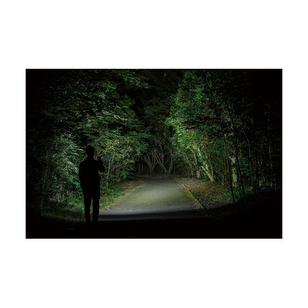 ジェントスLEDフラッシュライト TX-3000R 1個 ジェントスLEDフラッシュライト TX-3000R 1個