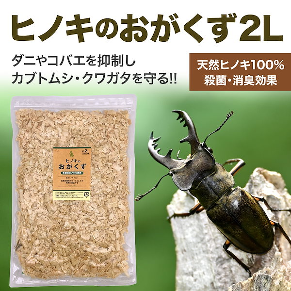 ひのきチップ③ かんなくず ウッドチップ ハムスター クワガタ