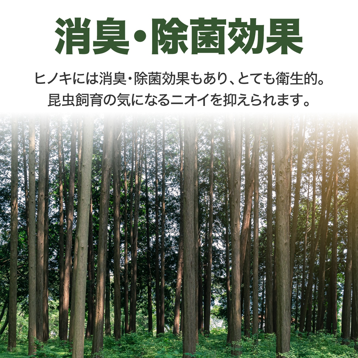 Qoo10] 国産 ひのき おがくず チップ 2L 乾
