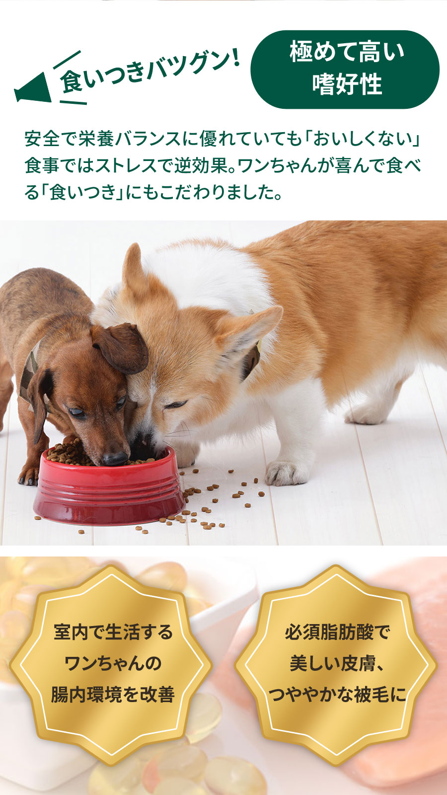 ドッグフード グレインフリー チキン 室内飼育子犬用 1.8kg【国産鹿肉ジャーキー付き(お試しサイズ)】