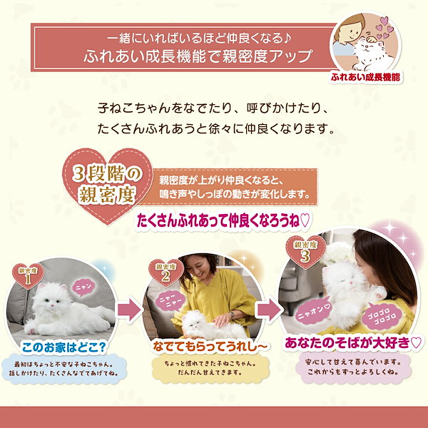 Qoo10] しっぽふりふり あまえんぼう子ねこちゃん