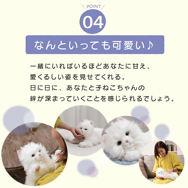 Qoo10] しっぽふりふり あまえんぼう子ねこちゃん