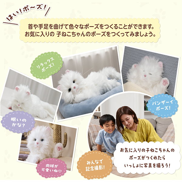 Qoo10] しっぽふりふり あまえんぼう子ねこちゃん