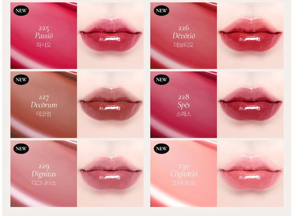 ディント Dinto ブラーグロイリップティント 2023年冬新作リップティント】ブラーグロイリップティント