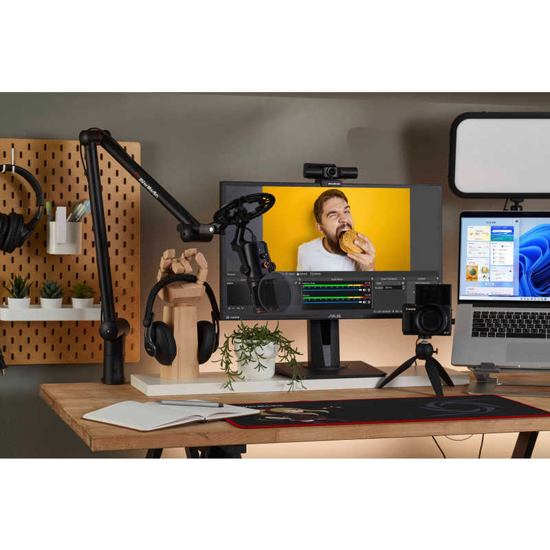 AVERMEDIA　LIVE STREAMER MIC 350　AM350