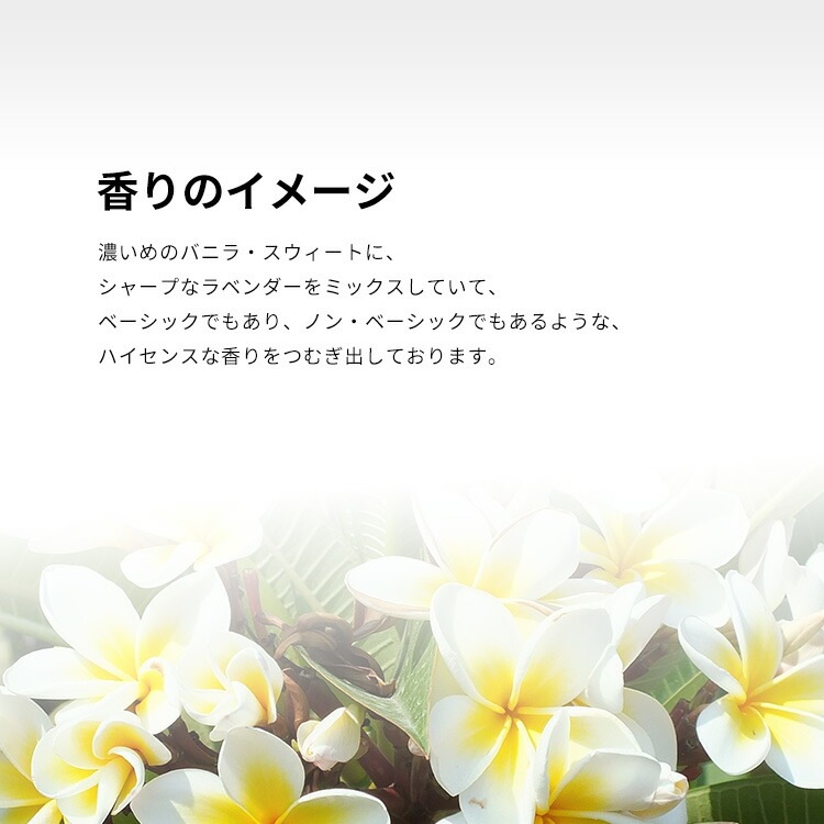 リブレ EDP SP 50ml リブレ EDP SP 50ml