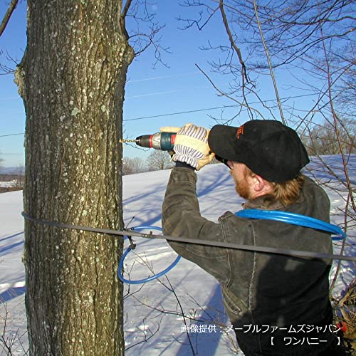 メープルファームズジャパンC メープルシュガー パウダータイプ 1kg