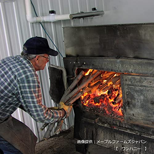 メープルファームズジャパンC メープルシュガー パウダータイプ 1kg