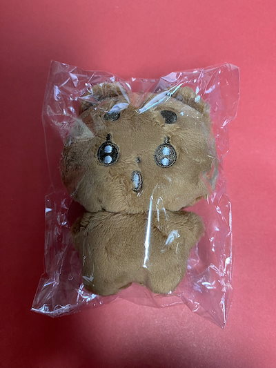 Qoo10] TXT マスターニム ぬいぐるみ 10c : おもちゃ・知育