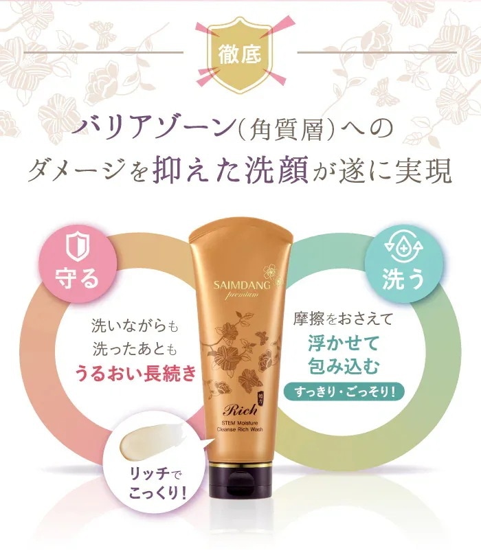 P15倍 / 公式 / 国内発送】「リッチウォッシュ 単品