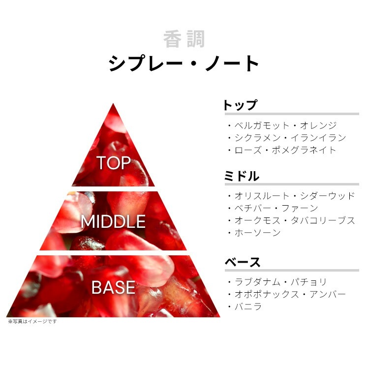 ザクロ EDC SP 50ml