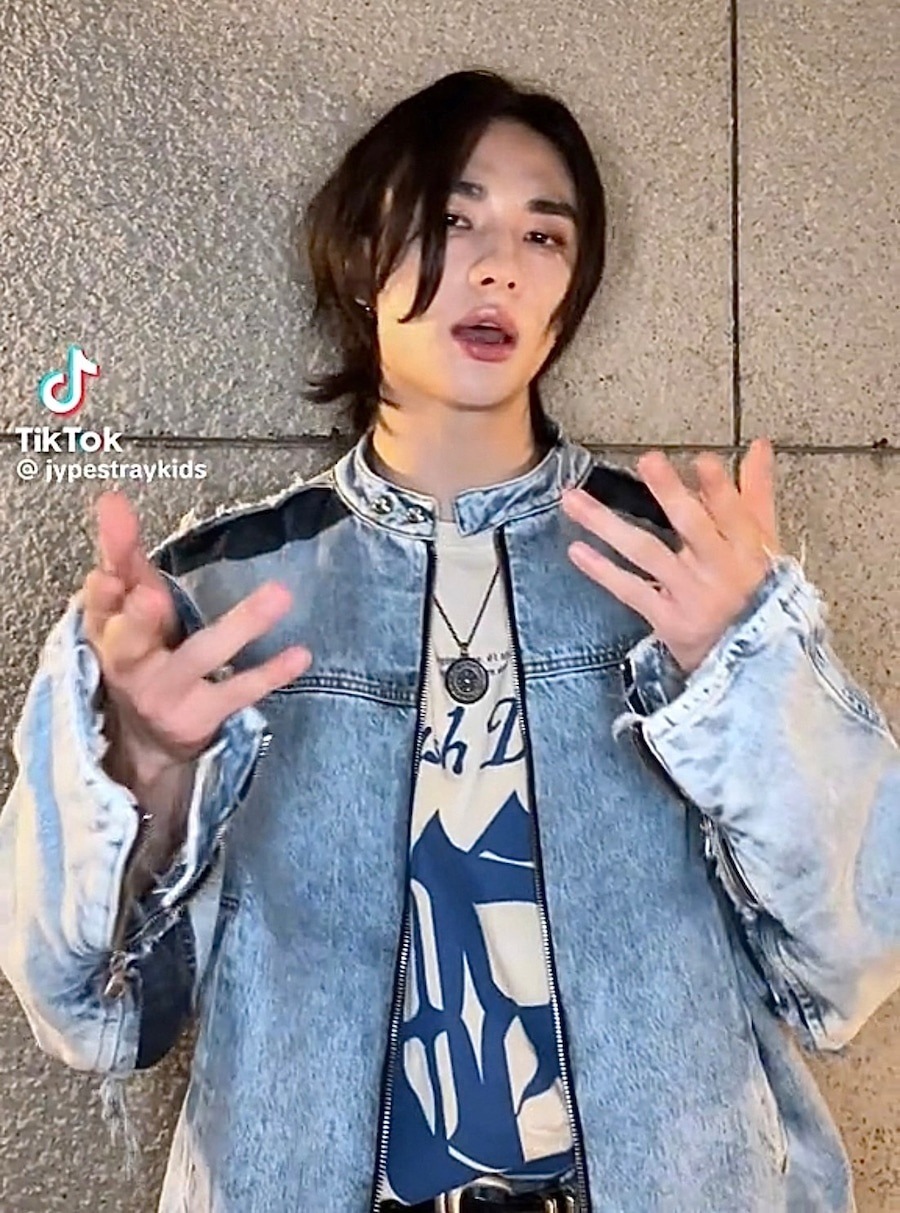 Stray Kids ヒョンジン ENHYPEN ニキ 着用 PIGMENT CENTURY SS
