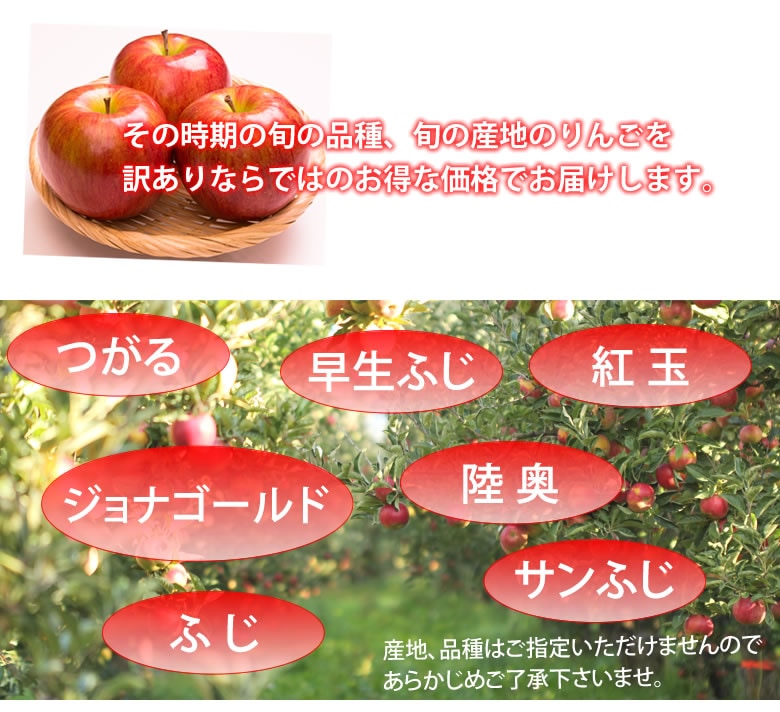 Qoo10] りんご 訳あり リンゴ 約1.5kg 長