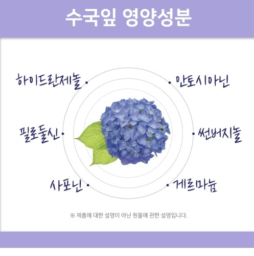 ニュートロウェイ 韓国産 アジサイの葉 熱水 高含量 抽出粉末 100gx3箱