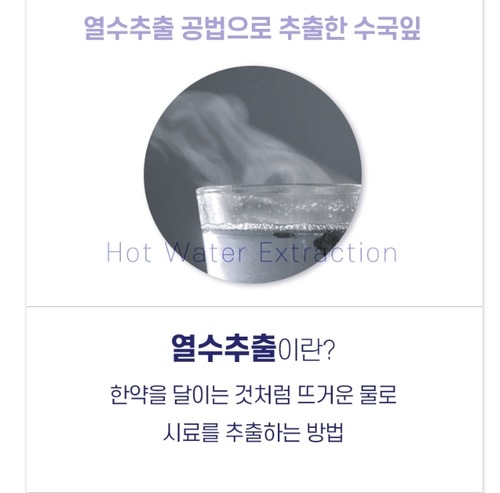 ニュートロウェイ 韓国産 アジサイの葉 熱水 高含量 抽出粉末 100gx3箱