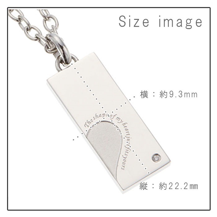 ネックレス レディース メンズ サージカルステンレス プレート キュービックジルコニア ネックレス レディース メンズ サージカルステンレス プレート キュービックジルコニア