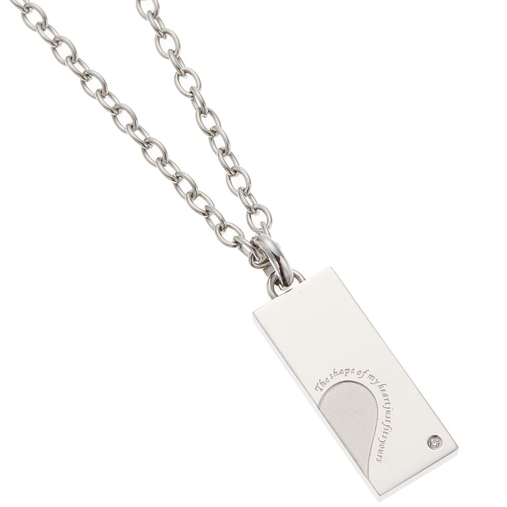 ネックレス レディース メンズ サージカルステンレス プレート キュービックジルコニア ネックレス レディース メンズ サージカルステンレス プレート キュービックジルコニア