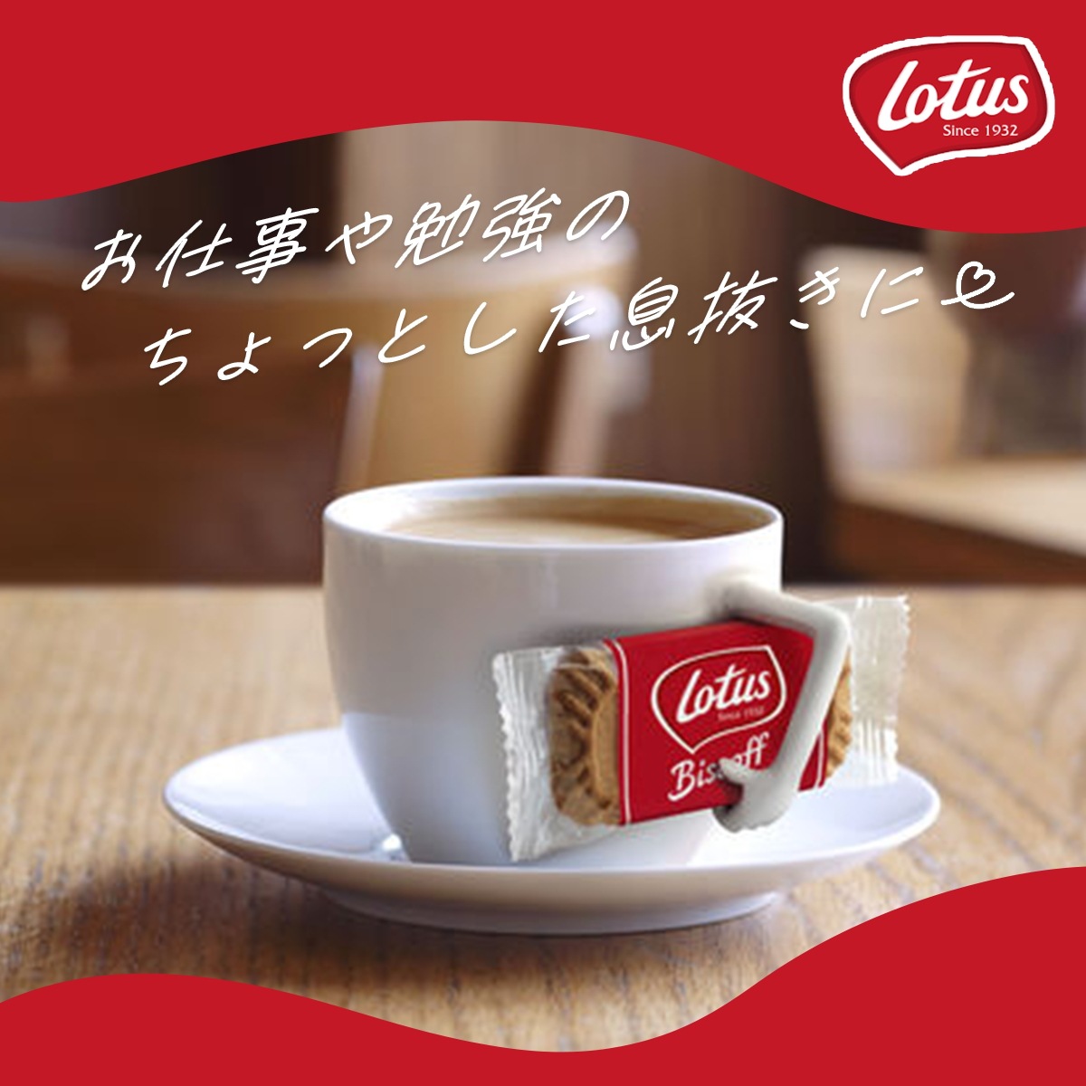 【６個セット】Lotus ロータス オリジナル チョコカラメルビスケット　3Px7包 ベルギー ロータスビスケット 宅急便 お得用 海外 焼き菓子 輸入菓子 焼菓子 ビスケット シナモン