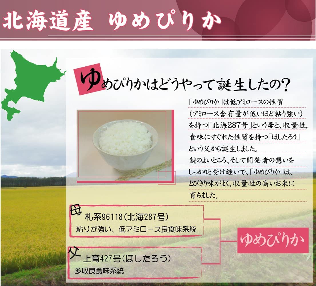 令和6年産 無洗米 北海道産ゆめぴりか 5kg＋無洗米 山形県産つや姫 5kg 計10kg
