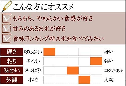 令和6年産 無洗米 北海道産ゆめぴりか 5kg＋無洗米 山形県産つや姫 5kg 計10kg