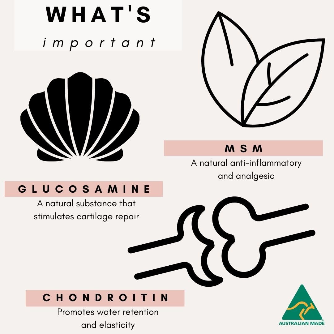 ペッツパーク 猫用 関節サプリメント ヒップ+ジョイント ペッツパーク 猫用 関節サプリメント ヒップ+ジョイント