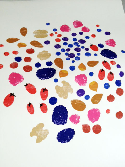 ANEK BERRIES & NUTS - FOOD PRINT ANEK BERRIES & NUTS - FOOD PRINT