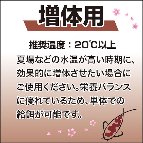 Qoo10] キョーリン 鯉の餌 咲ひかり 増体用 浮上 Ｍ １５