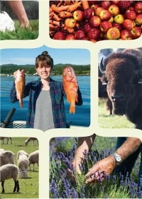 アカナ シングル グラスフェッドラム 2kg アカナ シングル グラスフェッドラム 2kg