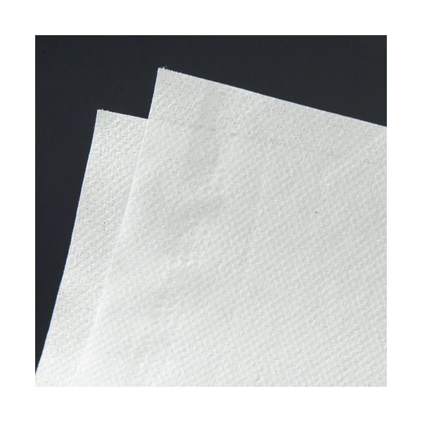 TANOSEEペーパータオル 抗菌/ダブル(エコノミー) 200組/パック 1セット(42パック) TANOSEEペーパータオル 抗菌/ダブル(エコノミー) 200組/パック 1セット(42パック)