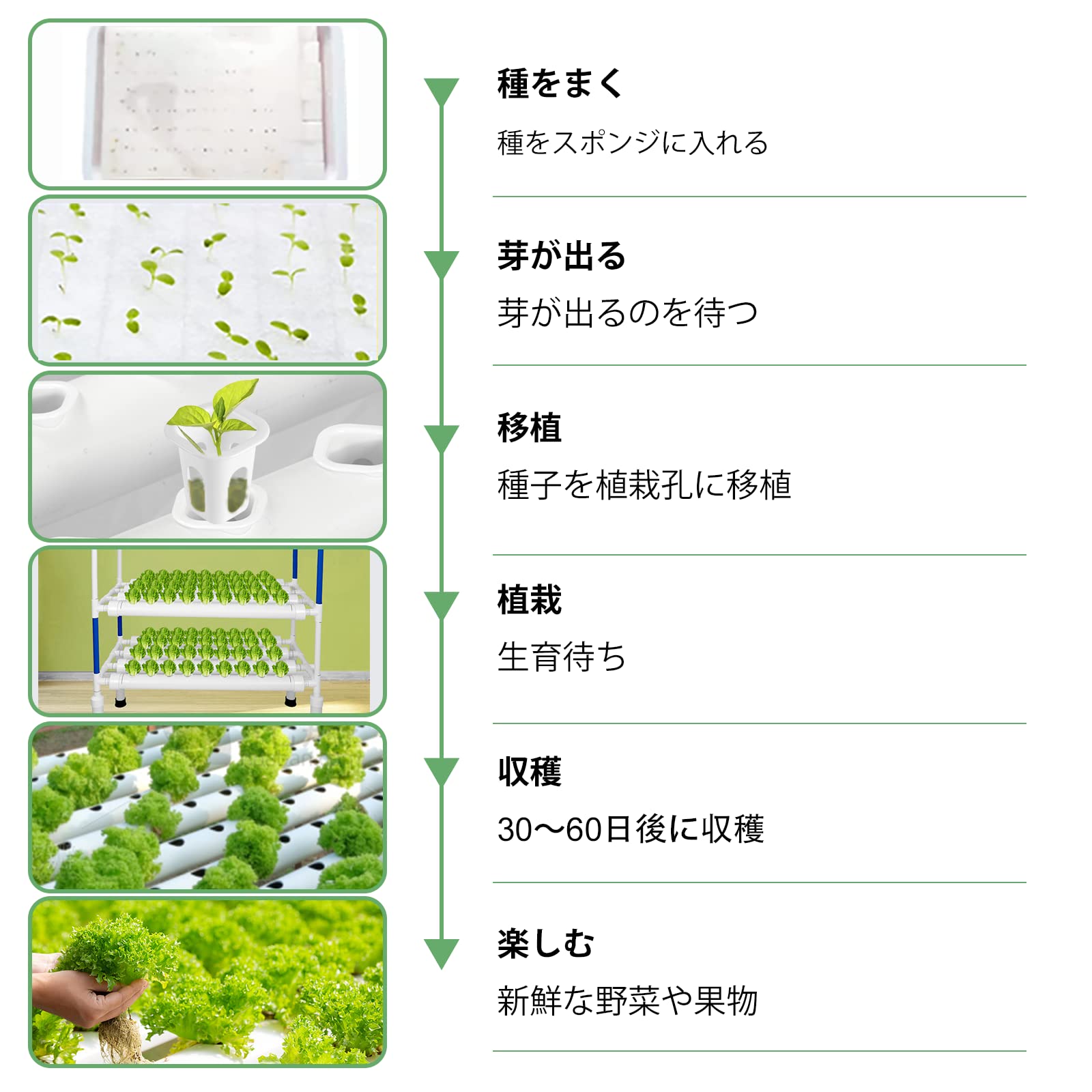 【LAPOND改良版】 水耕栽培システム 4列3層 食品級PVC-U管水耕栽培キット 108穴 水耕栽培植物用 無土壌栽培 セット 自動水循環システム搭載 水耕栽培野菜/果物/ハーブ/花など 家庭菜園 【LAPOND改良版】 水耕栽培システム 4列3層 食品級PVC-U管水耕栽培キット 108穴 水耕栽培植物用 無土壌栽培 セット 自動水循環システム搭載 水耕栽培野菜/果物/ハーブ/花など 家庭菜園