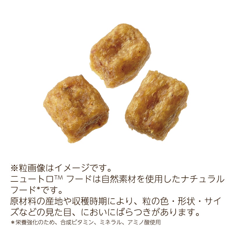 ナチュラルチョイス 超小型中型犬 子犬用 チキン＆玄米 3kg ND103 期限26/07/31以降