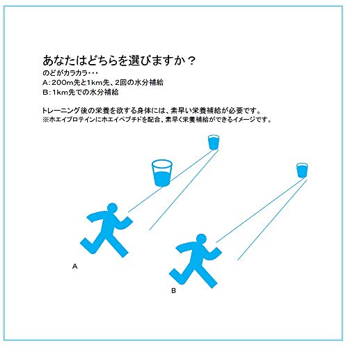 ゴールドジム(GOLDS GYM) ホエイプロテイン ヨーグルト風味 720g ゴールドジム(GOLDS GYM) ホエイプロテイン ヨーグルト風味 720g