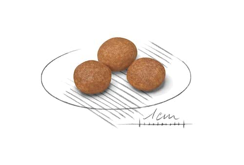 ロイヤルカナン SHN エクストラスモール アダルト 8+ 3kg ロイヤルカナン SHN エクストラスモール アダルト 8+ 3kg