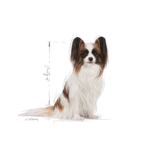 ロイヤルカナン SHN エクストラスモール アダルト 8+ 3kg ロイヤルカナン SHN エクストラスモール アダルト 8+ 3kg