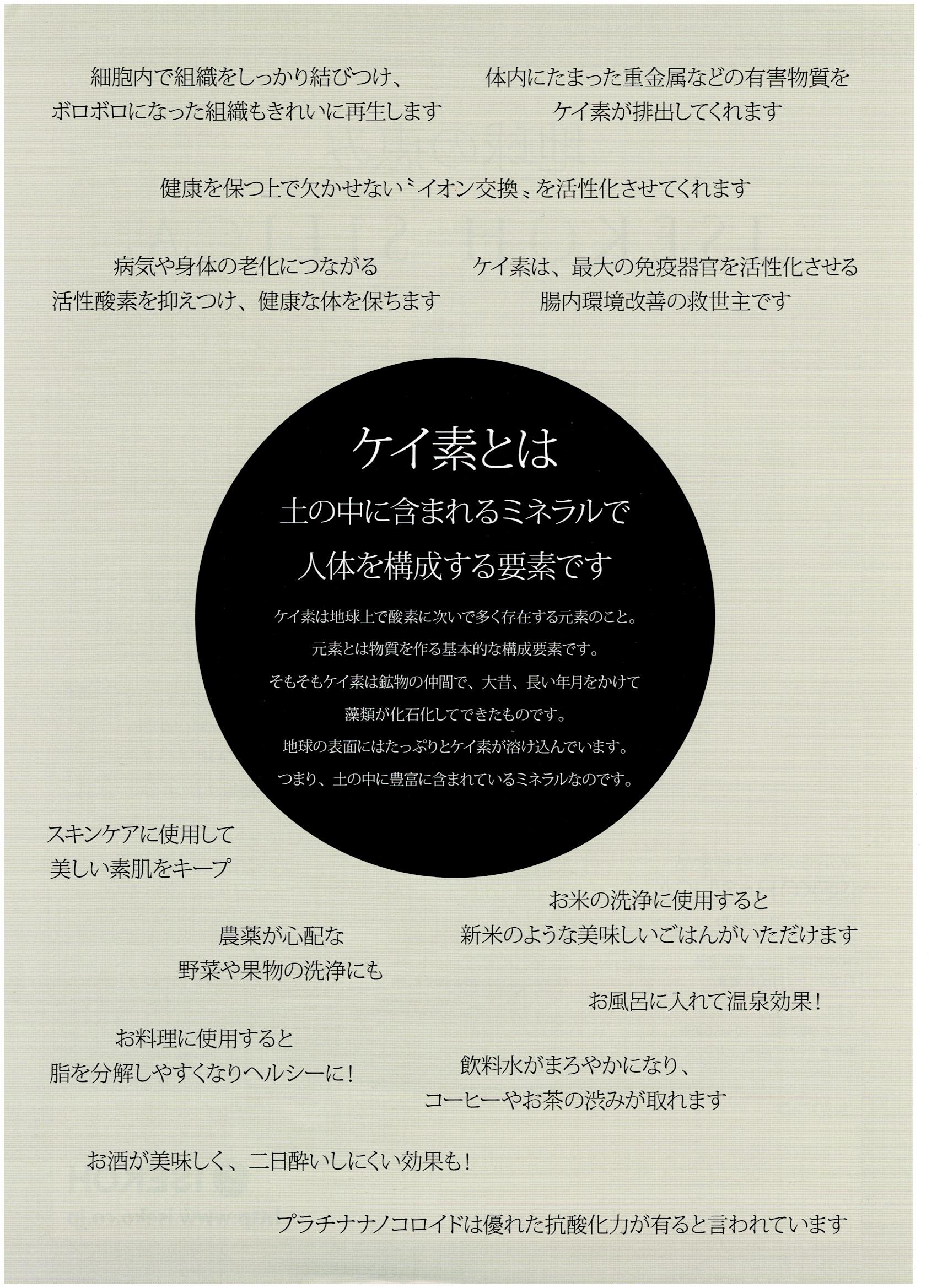 ケイ素白金ナノコロイド配合500ml 定価１本27000円 - 健康用品