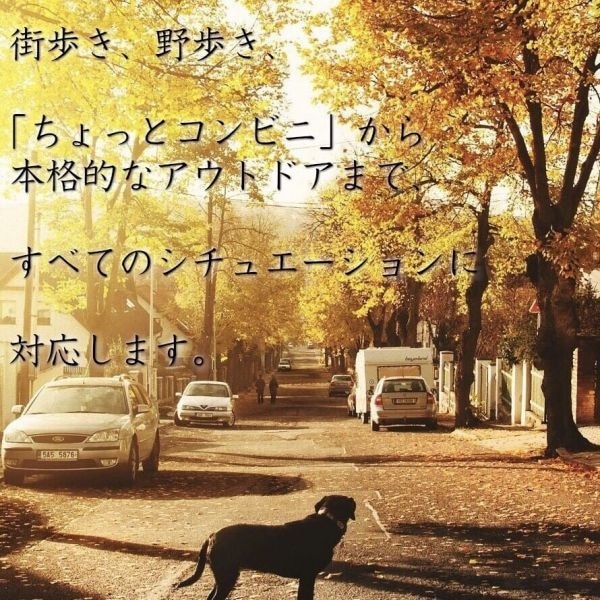 BAR 定価2.1万 人間工学に基づいた靴 高級本革 コンフォートシューズ ベアー 25.3cm22211656スニーカー