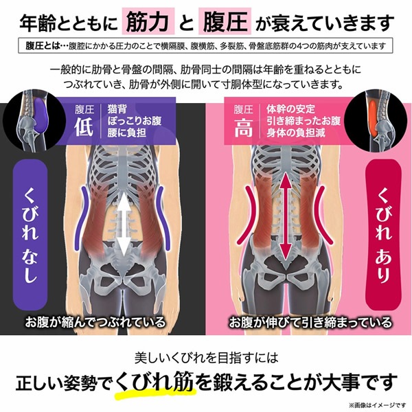 ヨガクリエイターaya監修 icoelle イコエル スピードシェイプ (全国一律送料無料) ベルト型EMS ウエスト 引き締め 美姿勢 体幹 シェイプベルト 筋肉 EMS 低周波