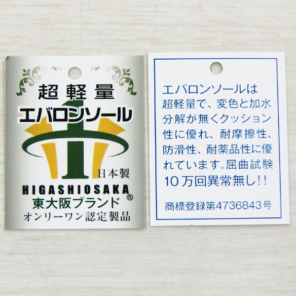 コンフォートシューズ レディースシューズ レディースファッション 靴 機能性有 5E 日本製 軽量