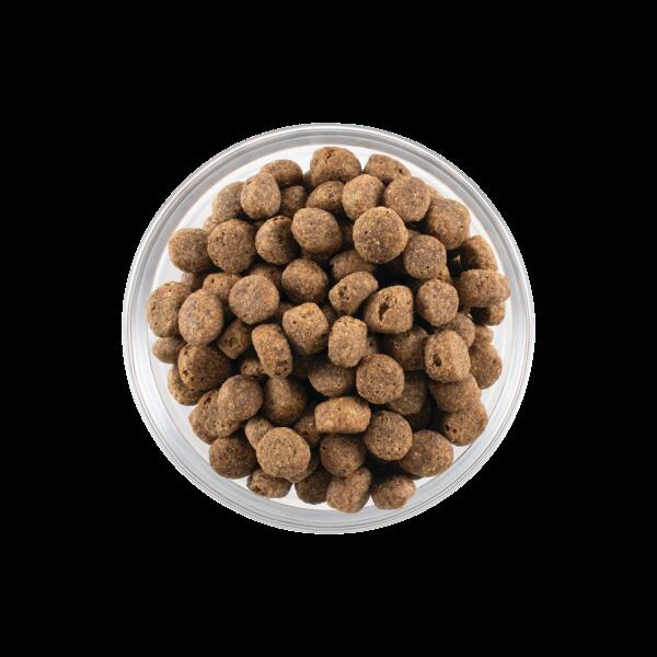 ナウフレッシュ グレインフリー シニア&ウェイトマネジメント 5.44kg 普通粒 レギュラー粒 ドッグフード NOW FRESH 体重管理 ナウフレッシュ グレインフリー シニア&ウェイトマネジメント 5.44kg 普通粒 レギュラー粒 ドッグフード NOW FRESH 体重管理