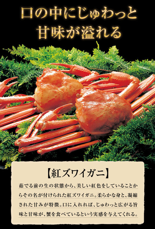 【8月20日以降の発送予定】 紅ズワイガニ ボイル 紅ズワイ カニ足 棒 ポーション20本4個 ボイル済み (ロシア産原料ベトナム又は中国加工) かに カニ 蟹 ズワイガニ ずわいがに