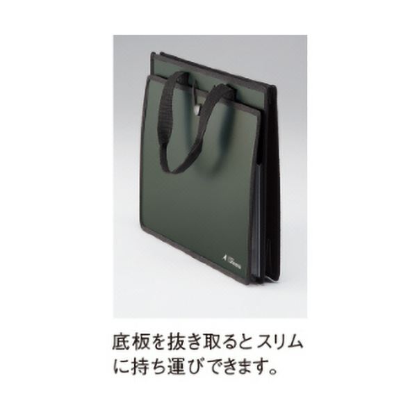 （まとめ）リヒトラブ ALTNAツールバッグ(P.P.) A4ヨコ レッド A-7773-3 1個(×10セット)