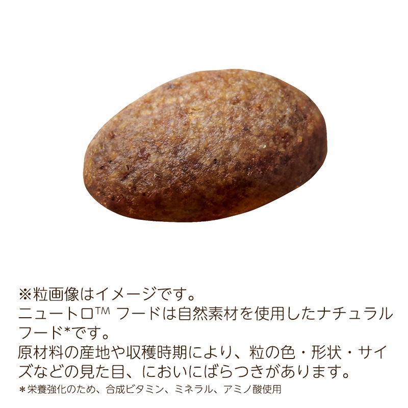 シュプレモ 超小型～小型犬用 草原のレシピ４㎏×２ 計８㎏ 楽天市場】ニュートロ シュプレモ 超小型犬〜小型犬用 成犬用
